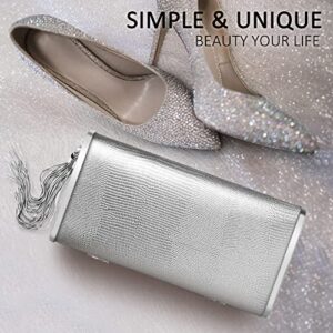 Women Silver Clutch Purse Small Box Sparkly Evening Bag in Hardcase with Metallic Tassel for Party Wedding with Gift Packing