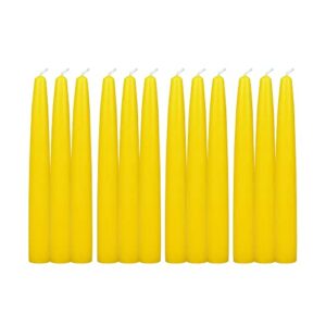 Zest Candle 12-Piece Taper Candles, 6-Inch, Yellow