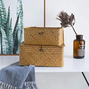 homozy Retro Seagrass Woven Wicker Basket with Lid, Rustic Natural Brown Finish, Decorative Accent or Storage - M
