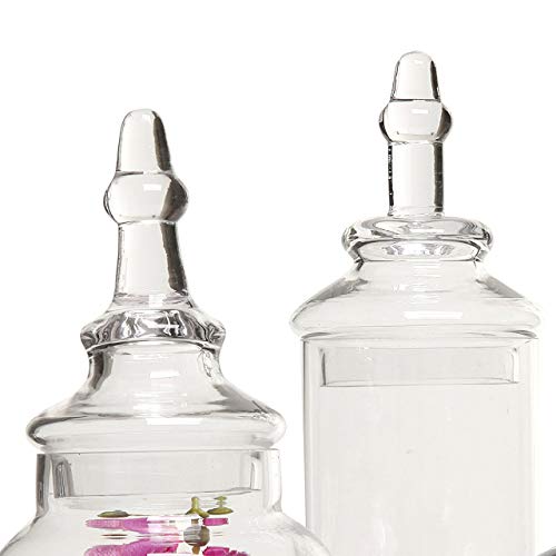 MyGift Clear Glass Apothecary Jars with Lid, Decorative Footed Vase, Candy Buffet Containers Set of 3