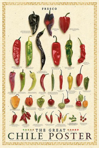 The Great Chile Poster Fresh by Mark Miller Pepper Gourmet Kitchen Print Poster 24x36