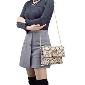 Ayliss Women's Snakeskin Bag Handbag Shoulder Clutch Purse Evening Bag PU Leather Crossbody Bag Chain Strap