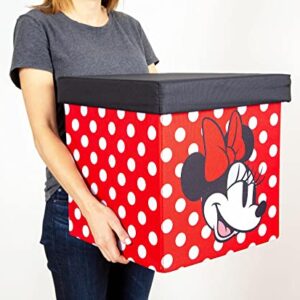 Disney Mickey & Minnie 15-Inch Storage Bin Cube Organizers with Lids, Set of 2 | Fabric Basket Container, Cubby Cube Closet Organizer, Home Decor Playroom Accessories | Toys, Gifts And Collectibles