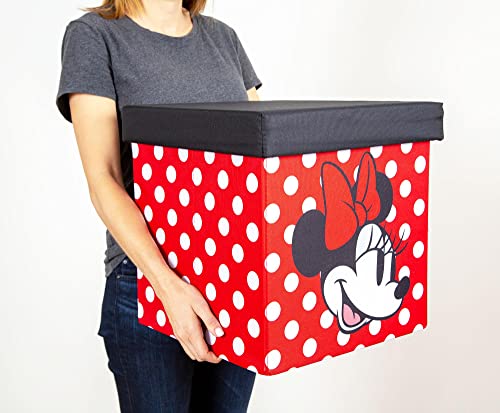 Disney Mickey & Minnie 15-Inch Storage Bin Cube Organizers with Lids, Set of 2 | Fabric Basket Container, Cubby Cube Closet Organizer, Home Decor Playroom Accessories | Toys, Gifts And Collectibles