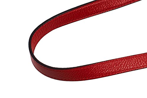 VanEnjoy Full Grain Leather Adjustable Replacement Strap Cross Body Bag Purse, 26-51 inch Gold Hardware - 1.8 CM Width (Black-Silver Metal With Tasse) (Red)