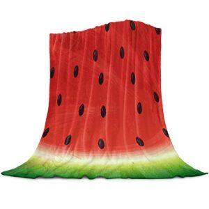 fleece blankets throw couch bed sofa warm,soft microfiber plush reversible all season blanket for adults/kids – watermelon in watercolor style 40″ x 50″