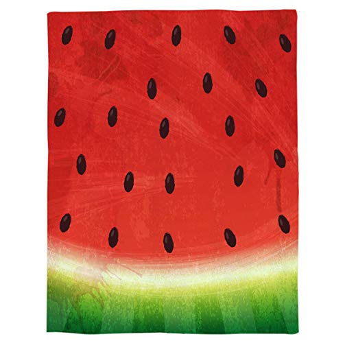 Fleece Blankets Throw Couch Bed Sofa Warm,Soft Microfiber Plush Reversible All Season Blanket for Adults/Kids - Watermelon in Watercolor Style 40" x 50"