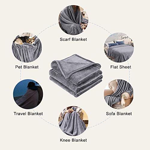 EMME Velvet Fleece Twin Blanket Quality High-Density Bed Blankets for Couch Silky Soft Twin Blankets Premium Cozy Fleece Blankets and Throws Lightweight and Warm for All Season (Grey, 60" x 80")