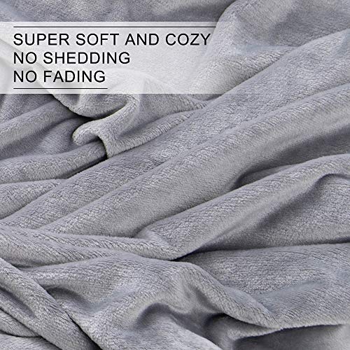 EMME Velvet Fleece Twin Blanket Quality High-Density Bed Blankets for Couch Silky Soft Twin Blankets Premium Cozy Fleece Blankets and Throws Lightweight and Warm for All Season (Grey, 60" x 80")