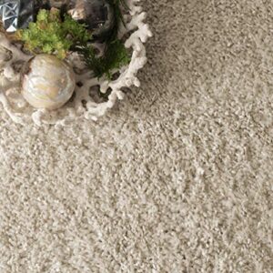 nuLOOM Neva Modern Tasseled Shag Area Rug, 5' 3" x 7' 7", Beige