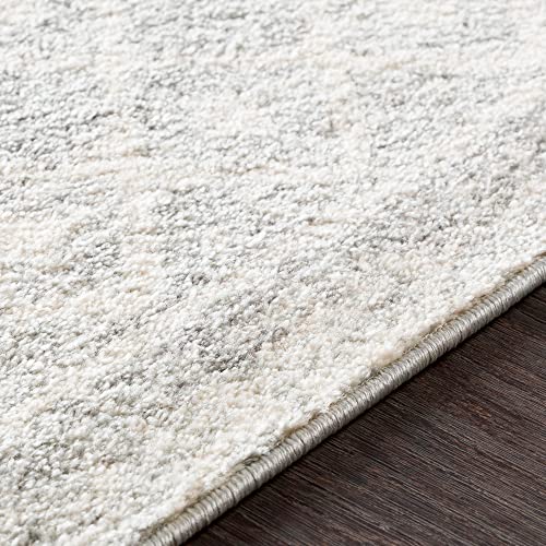 Artistic Weavers Chester Boho Moroccan Runner Area Rug,2'7" x 7'6",Grey