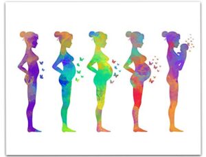 pregnant lady stages abstract wall art print 14×11, ideal for obstetrician, gynecologist, midwife, doula or labor nurse, great practice decor