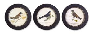 melrose modern home decorative framed bird print (set of 3) 9.5″ d mdf