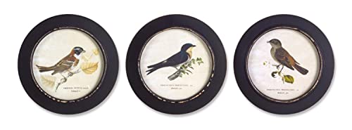 Melrose Modern Home Decorative Framed Bird Print (Set of 3) 9.5" D MDF