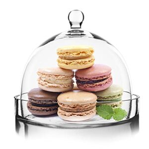cys excel bell dome cloche with glass base (h:7.5″ w:8″) | multiple size choices cake dessert display | terrarium jar plant cover