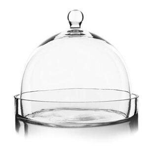 CYS EXCEL Bell Dome Cloche with Glass Base (H:7.5" W:8") | Multiple Size Choices Cake Dessert Display | Terrarium Jar Plant Cover