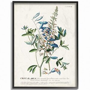 Stupell Industries Botanical Plant Illustration Flowers And Leaves Vintage Design Black Framed Wall Art, Multi-Color, Model Number: fap-217_fr_11x14