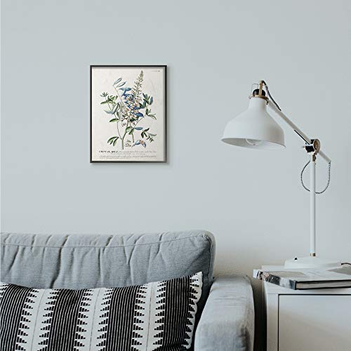 Stupell Industries Botanical Plant Illustration Flowers And Leaves Vintage Design Black Framed Wall Art, Multi-Color, Model Number: fap-217_fr_11x14