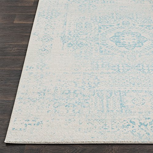 Valeria Teal and Beige Updated Traditional Area Rug 2' x 3'