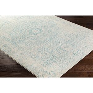 Valeria Teal and Beige Updated Traditional Area Rug 2' x 3'