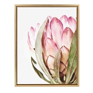 kate and laurel sylvie pink protea flower framed canvas wall art by amy peterson, 18×24 gold