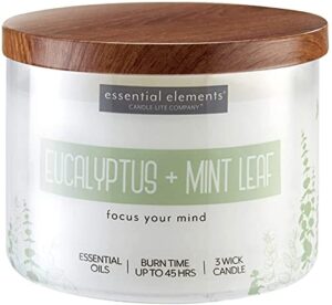 candle lite 4472174 essential elements 3-wick jar candle, eucalyptus & mint leaf, 14.75-oz. – quantity 3