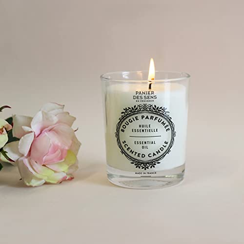 Panier des Sens Rose Scented candles, Candles for home scented 100% cotton wick - Made in France - 6oz/180g