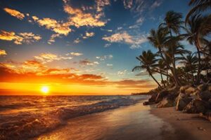 sunset over tropical beach palm tree ocean photo photograph setting sun island poster nature scene palm tree scenic relaxing calm sea sand beautiful cool wall decor art print poster 36×24