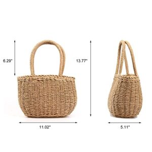 Straw Bags for Women, Hand-woven Straw Small Hobo Bag Round Handle Ring Tote Retro Summer Beach Rattan bag (Brown)