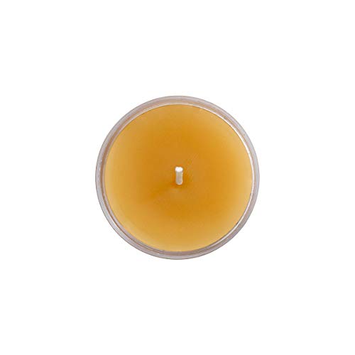 The Beeswax Co Tea light Beeswax Candles - Natural Honey Scented - For Home - Long-Lasting & Eco-Friendly - Cotton Wick - Slow Burning - Hand Poured Pure Organic Bees Wax - Set of 24 Tealights (Clear)