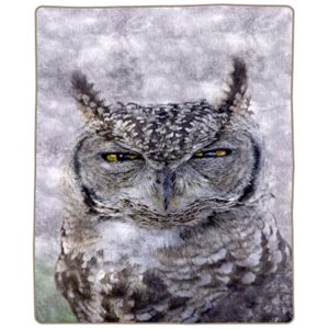 lavish home white owl blanket – 80×92-inch printed fuzzy animal blanket – plush thick 8lb faux mink queen throw blanket for couch, sofa, or bed