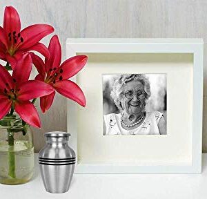 Trupoint Memorials Small Keepsake Urn for Human Ashes - Set of 1 - Beautiful and Timeless Token to Remember Your Loved One Lost - with Box and Velvet Bag -Find Comfort (Pewter Classic)