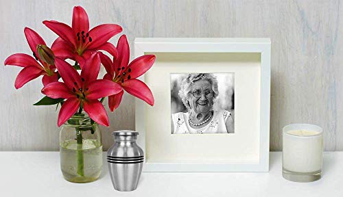 Trupoint Memorials Small Keepsake Urn for Human Ashes - Set of 1 - Beautiful and Timeless Token to Remember Your Loved One Lost - with Box and Velvet Bag -Find Comfort (Pewter Classic)