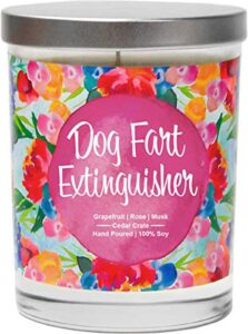 dog fart extinguisher – funny scented candles, dog farts candle, dog mom gifts, funny dog lovers gifts for women, gag gift, dog grandma, mothers day, rescue, home, lovers, bff, best friend, friendship