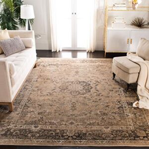 SAFAVIEH Vintage Collection 10' x 14' Warm Beige VTG113 Oriental Medallion Distressed Premium Viscose Area Rug