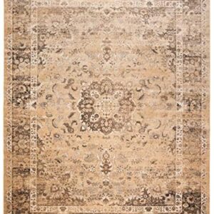 SAFAVIEH Vintage Collection 10' x 14' Warm Beige VTG113 Oriental Medallion Distressed Premium Viscose Area Rug