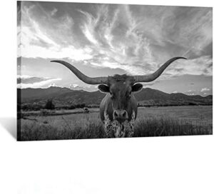 kreative arts black and white animal canvas wall art highland cattle with long horns picture texas longhorn in sunset farm painting for home decor modern living room decorations ready to hang 24x36in