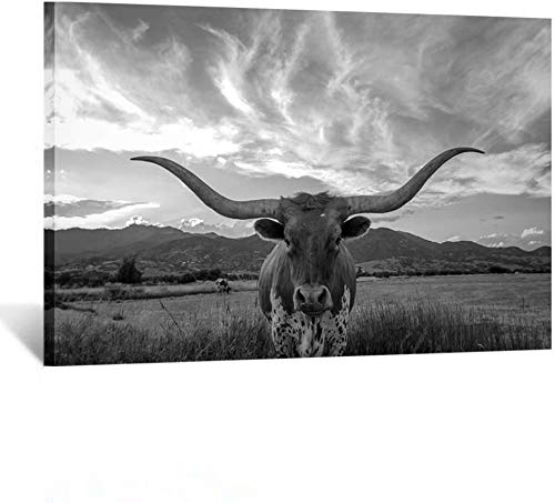 Kreative Arts Black and White Animal Canvas Wall Art Highland Cattle with Long Horns Picture Texas Longhorn in Sunset Farm Painting for Home Decor Modern Living Room Decorations Ready to Hang 24x36in