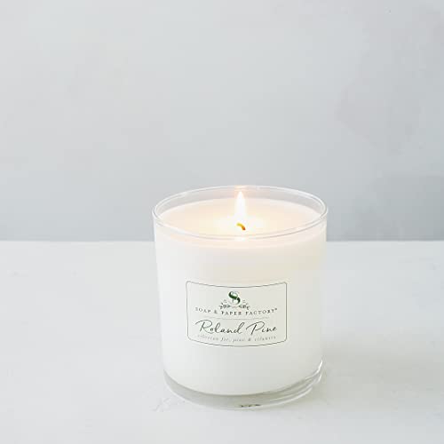 Soap & Paper Factory Roland Pine 9.5 oz Large Soy Candle