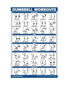 palace learning dumbbell workout exercise poster – free weight body building guide | home gym chart – laminated, 18″ x 24″