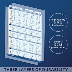 Palace Learning Dumbbell Workout Exercise Poster - Free Weight Body Building Guide | Home Gym Chart - LAMINATED, 18" x 24"