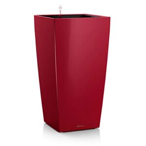 lechuza cubico premium 30 – all-in-one, scarlet