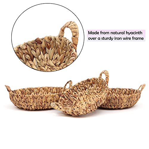 Trademark Innovations Set of 3 Round Hyacinth Baskets with Handles