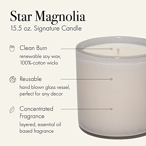 LAFCO New York Signature Candle, Star Magnolia - 15.5 oz - 90-Hour Burn Time - Reusable, Hand Blown Glass Vessel - Made in The USA