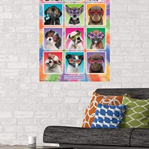 Trends International Keith Kimberlin - Puppies - Sunglasses Wall Poster, 22.375" x 34", Unframed Version