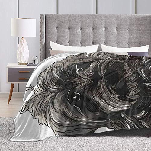 Luxury Fleece Bed Blankets, Doug The Schnauzer Hand Drawn Black Dog Funny Animal Christmas Throw Blankets, All Seasons Ultra Soft Plush Blanket for Dad Couch Preschool