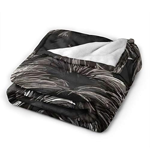 Luxury Fleece Bed Blankets, Doug The Schnauzer Hand Drawn Black Dog Funny Animal Christmas Throw Blankets, All Seasons Ultra Soft Plush Blanket for Dad Couch Preschool