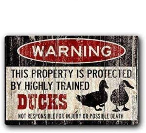 tin speaking fashionable duck sign,duck eggs,funny duck sign iron painting 8x12 inch metal tin sign