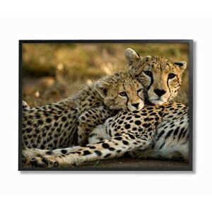 stupell industries home decor collection cheetah family mother with cub framed giclee texturized art, multi-colored, 11 x 14