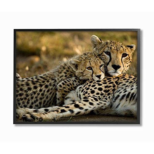 Stupell Industries Home Decor Collection Cheetah Family Mother with Cub Framed Giclee Texturized Art, Multi-Colored, 11 x 14